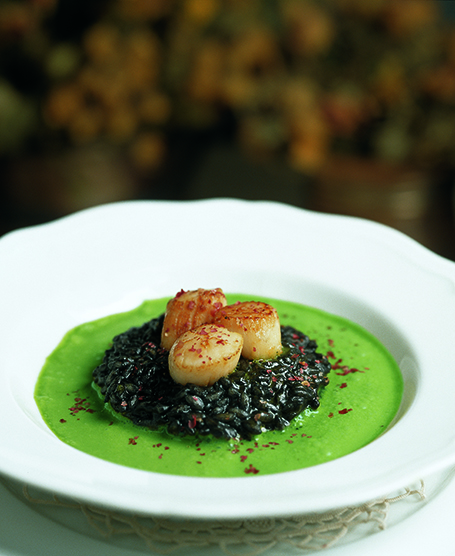 RISOTTO WITH SCALLOPS AND CONCENTRATED BASIL SAUCE