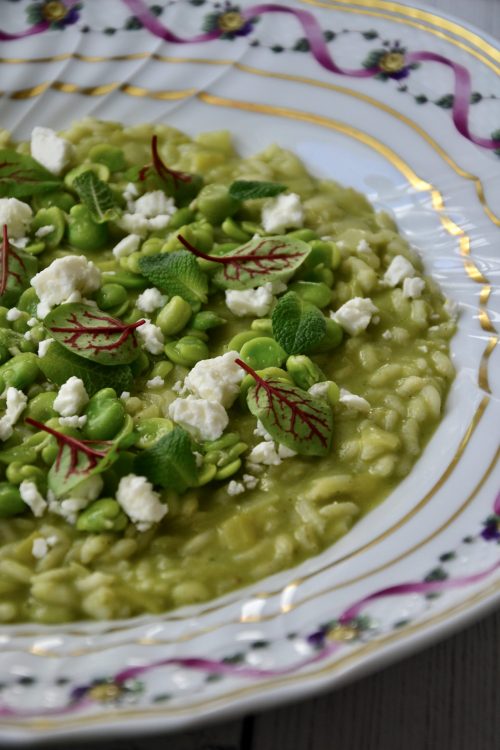 BROAD BEAN & GOATS CHEESE RISOTTO WITH MINT – Riso Gallo UK