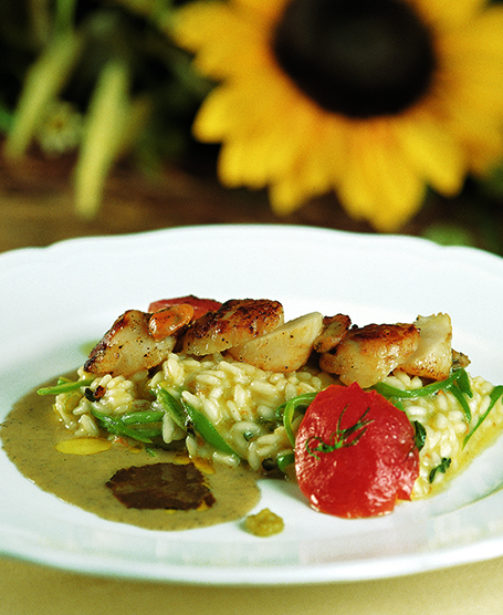 RISOTTO WITH SCALLOPS, PUMPKIN FLOWERS AND FRESH OREGANO