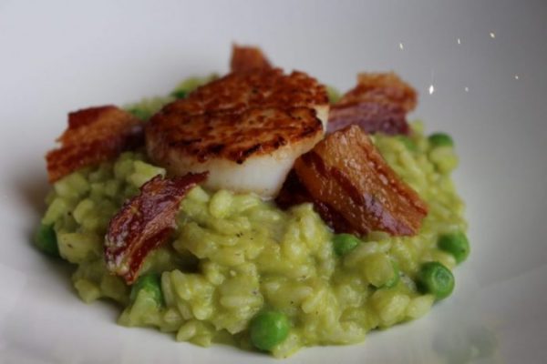 PEA RISOTTO WITH PAN FRIED SCALLOPS AND CRISPY PANCETTA